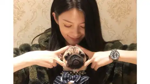 表情狗子妈何年何月何日再见狗子真容表情
