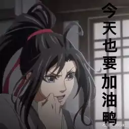 魔道祖师表情包你能把我怎样
