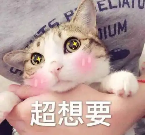 搞笑段子我永远屈服于温柔,而你就是温柔本身
