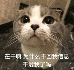 今日份搞笑表情包
