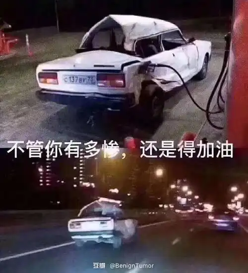 快乐的小羊羔的相册今日打卡成功了吗
