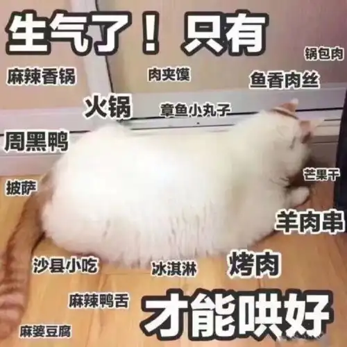 沙雕斗图表情包谁是傻逼我心里有数
