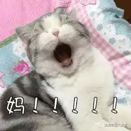 这些惊艳了岁月的妈妈们,都收到一份真情告白