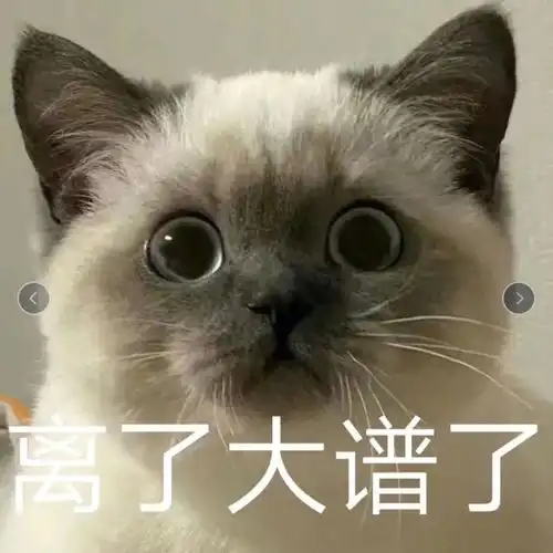第一个完整页面来啦小米官网
