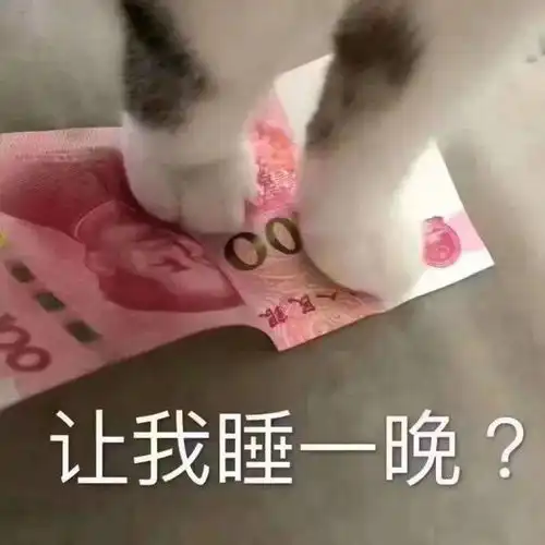 喵喵表情包第五期丨渴望富婆能给我一个家
