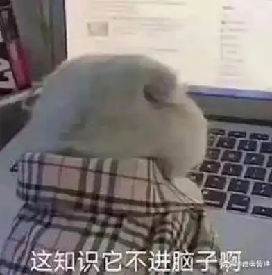 轻松一刻情人节必备拍照技巧,你值得拥有
