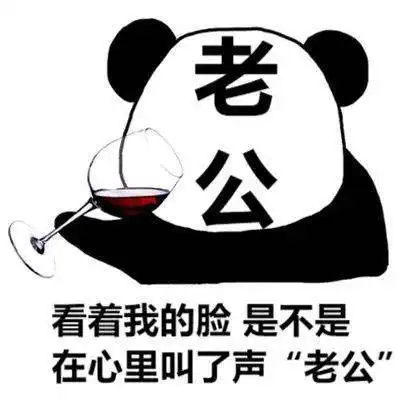 今日份熊猫头热门表情
