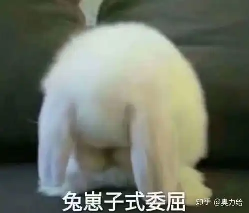 女朋友说,我再也不想和你玩了,有什么高情商的回答
