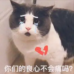 小学生vs中国大妈,又一次被赶上绝路,网友你的良心不痛吗
