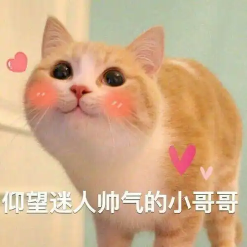 有哪些可爱的表情包