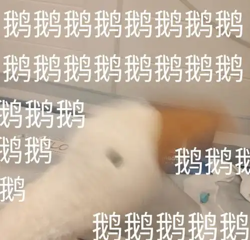 笨笨鹅表情包怪不好意思的
