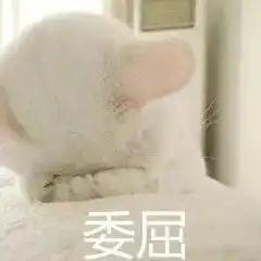 幼儿园就要抢c位妈妈炸了不是我敏感,拍集体照孩子百分百靠边站
