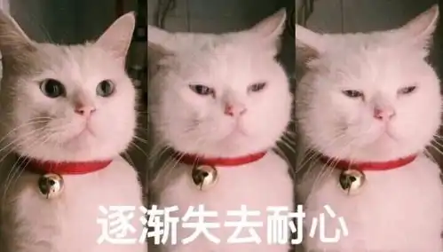 心动的信号换季不换肤

