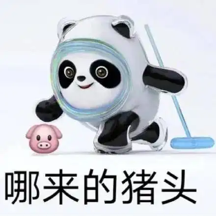 冬奥的魅力,不止顶流冰墩墩
