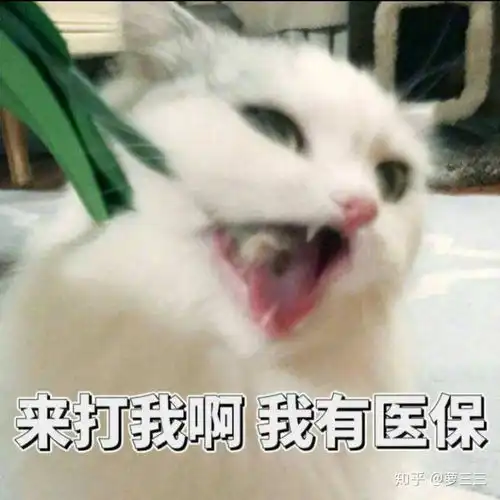 如果你成为霸道总裁文里的恶毒女配怎么办
