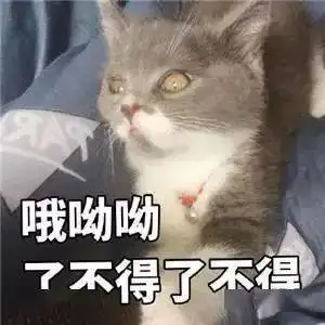 可爱的猫咪表情大全,请收藏备用
