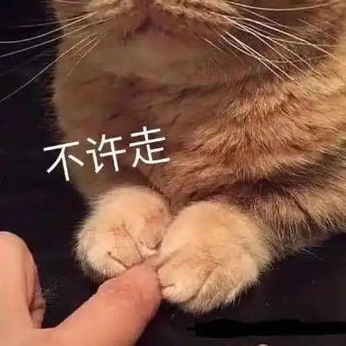 玩cosplay吗我当你爸爸第285期喵表情
