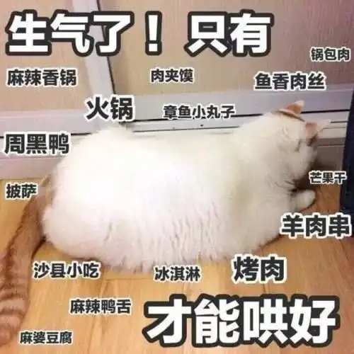 今天起15天连续降雨超凶冷空气马上杀到宁德,一年中最难熬的时候到了.....
