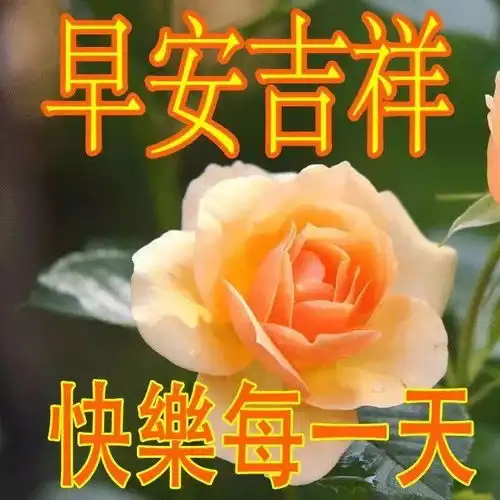 祝福大家早上好图片大全,很赞的大家早上好问候语表情动画
