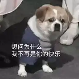 沙雕表情包,非你莫属
