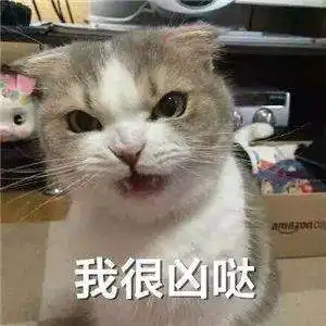 抖音我不可爱我很凶哒无水印表情包

