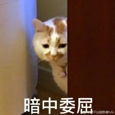 想哭下个月开始微信又一项服务要收费了丰城人捂紧钱包...
