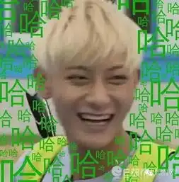 假如阴阳师把所有看脸的元素移除
