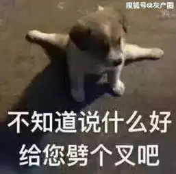 抖音上跳舞的小姐姐,真的恶心到我了......