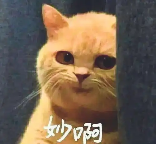 昨天央视镜头拍下外星人,差点把我笑没了
