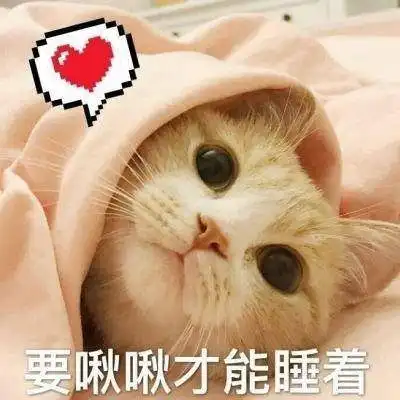 les拉拉百合记录篇w小姐姐和g小姐姐甜甜的日常互动超级...
