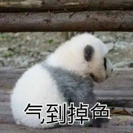 海底捞又出事这次深圳人真的怒了超千万人围观
