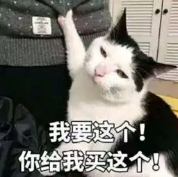 求这只猫的全套表情包
