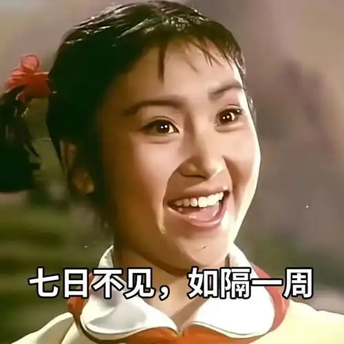 除了好笑,一点用都没有的表情包中国古话说出来老一辈说得好网易订阅
