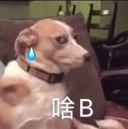 搞笑gif姑娘下次等你一个人,看你还敢不敢这样对我