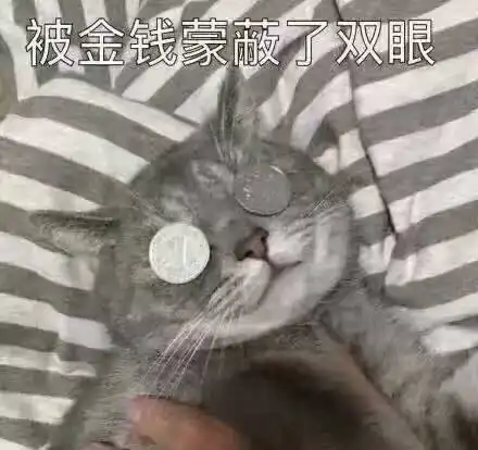 小白,我的p2p是不是跑路了
