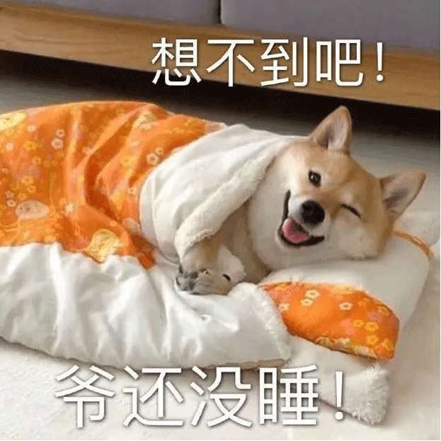 表情包,恋爱的五味我就先替各位尝了
