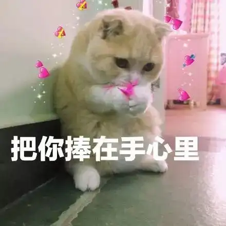 撩女朋友的表情包30张撩妹必备情话表情
