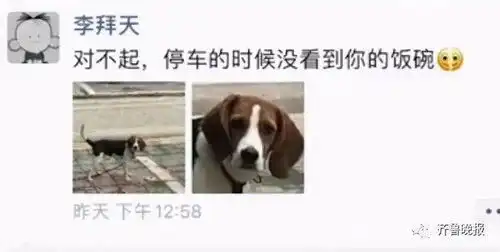主人不小心把狗的铁饭碗压扁,回头看它一脸哀怨,网友帮狗狗维权
