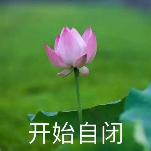 喂你能不能别再出来丢人了
