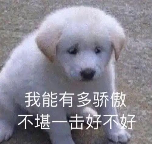你是听力不好还是压根儿就不知道人家在讲什么
