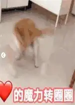 爱的魔力转圈圈表情好玩吗爱的魔力转圈圈表情怎么玩用户评论
