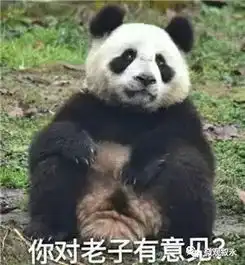 世外桃源云山坝来了只负伤疗养的国宝大熊猫
