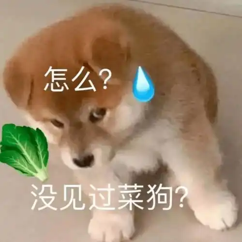减肥的人,迟早要虐爆这个部位,很多人却练错了不是腹部
