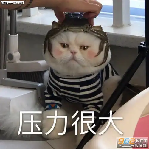 死者目前情形稳定表情包一天也就困个24小时表情包下载乐游网游戏下载
