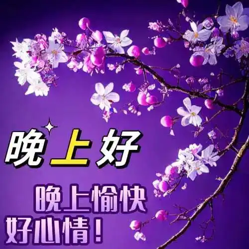 晚上好表情包,晚上好图片,晚上好问候
