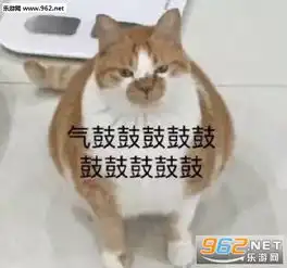 我来了姐妹表情包留下了全群最菜的泪水表情包图片下载乐游网游戏下载

