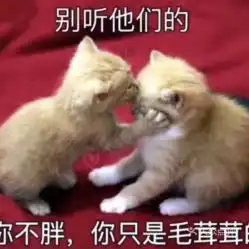 电话,地址,价格,营业时间
