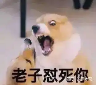 金星的谈话节目和其他人相比并无特色,为何会火