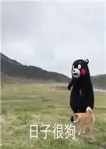 停下戏太多了表情包好玩吗停下戏太多了表情包怎么玩用户评论
