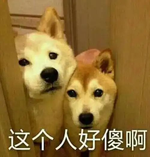 铲屎官你快回来我差点把家炸没了
